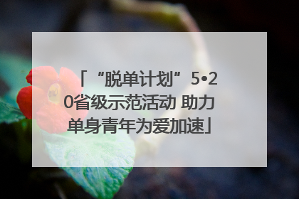“脱单计划”5•20省级示范活动 助力单身青年为爱加速