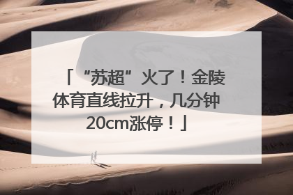 “苏超”火了！金陵体育直线拉升，几分钟20cm涨停！