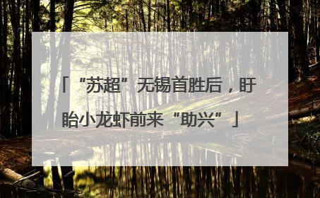 “苏超”无锡首胜后，盱眙小龙虾前来“助兴”