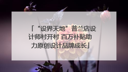 “设界天地”普兰店设计师村开村 百万补贴助力原创设计品牌成长
