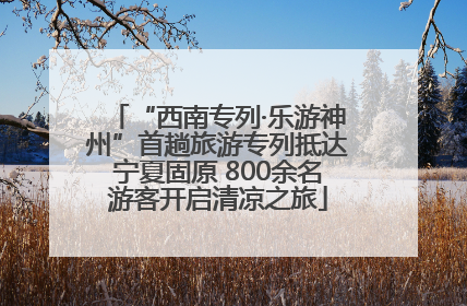 “西南专列·乐游神州”首趟旅游专列抵达宁夏固原 800余名游客开启清凉之旅
