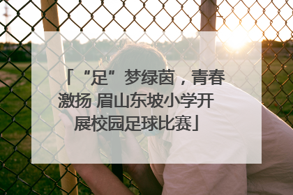 “足”梦绿茵，青春激扬 眉山东坡小学开展校园足球比赛
