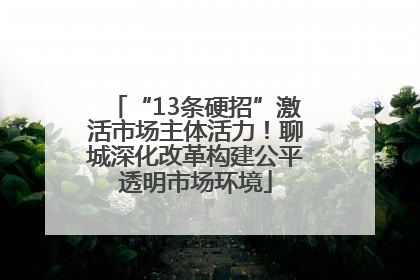 “13条硬招”激活市场主体活力！聊城深化改革构建公平透明市场环境