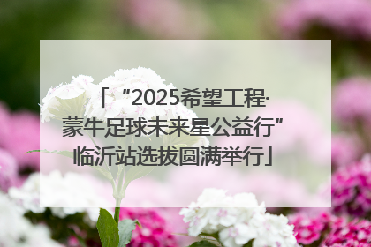“2025希望工程·蒙牛足球未来星公益行”临沂站选拔圆满举行