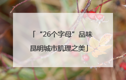 “26个字母”品味昆明城市肌理之美