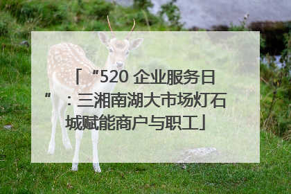“520 企业服务日”：三湘南湖大市场灯石城赋能商户与职工