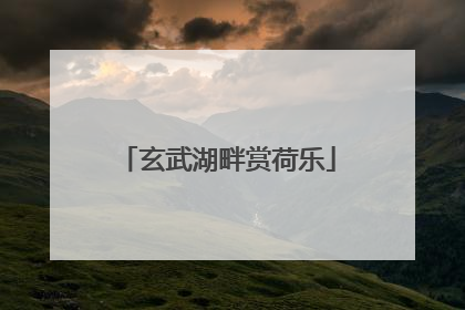 玄武湖畔赏荷乐