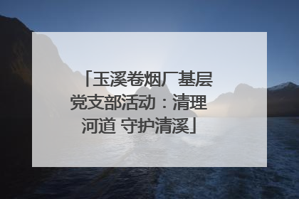 玉溪卷烟厂基层党支部活动：清理河道 守护清溪
