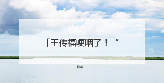 王传福哽咽了！“我们从不拉踩别人，这是原则”！比亚迪：我们不打价格战