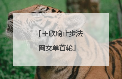 王欣瑜止步法网女单首轮