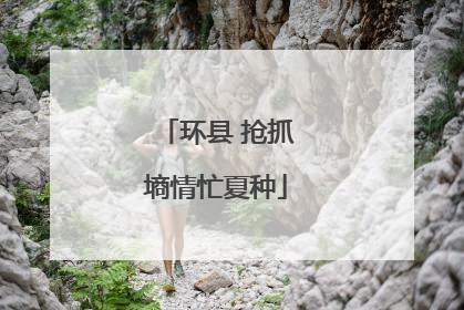 环县 抢抓墒情忙夏种