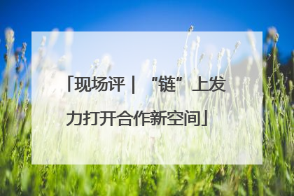 现场评｜“链”上发力打开合作新空间