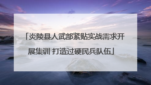 炎陵县人武部紧贴实战需求开展集训 打造过硬民兵队伍