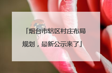 烟台市辖区村庄布局规划，最新公示来了