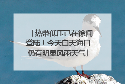 热带低压已在徐闻登陆！今天白天海口仍有明显风雨天气