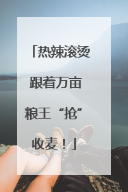 热辣滚烫 跟着万亩粮王“抢”收麦！
