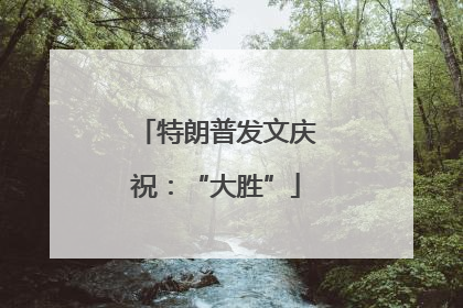 特朗普发文庆祝：“大胜”