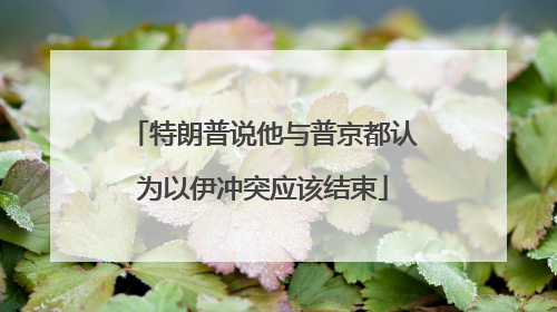 特朗普说他与普京都认为以伊冲突应该结束