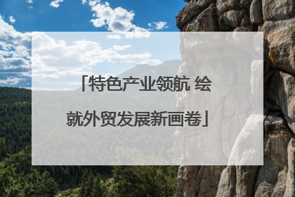 特色产业领航 绘就外贸发展新画卷