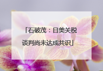石破茂：日美关税谈判尚未达成共识
