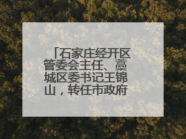 石家庄经开区管委会主任、藁城区委书记王锦山，转任市政府二级巡视员