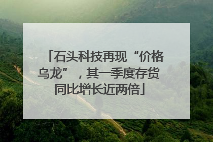 石头科技再现“价格乌龙”，其一季度存货同比增长近两倍