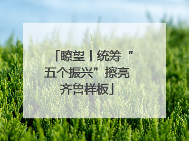 瞭望丨统筹“五个振兴”擦亮齐鲁样板