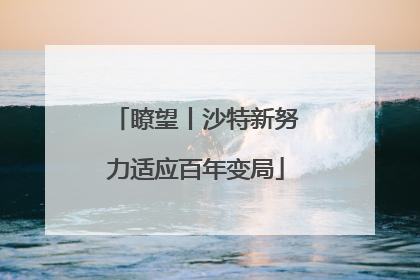 瞭望丨沙特新努力适应百年变局