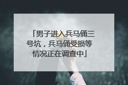 男子进入兵马俑三号坑，兵马俑受损等情况正在调查中