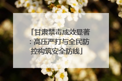 甘肃禁毒成效显著：高压严打与全民防控构筑安全防线