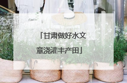 甘肃做好水文章浇灌丰产田