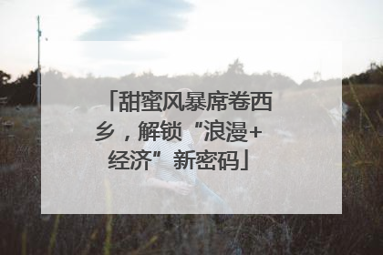 甜蜜风暴席卷西乡，解锁“浪漫+经济”新密码