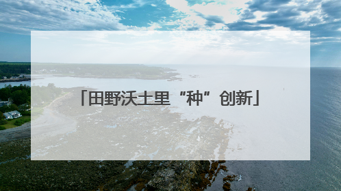 田野沃土里“种”创新