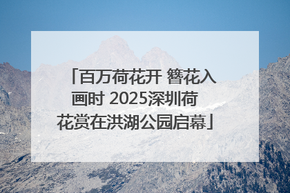 百万荷花开 簪花入画时 2025深圳荷花赏在洪湖公园启幕