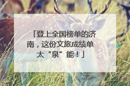 登上全国榜单的济南，这份文旅成绩单太“泉”能！