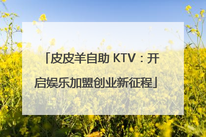 皮皮羊自助 KTV：开启娱乐加盟创业新征程