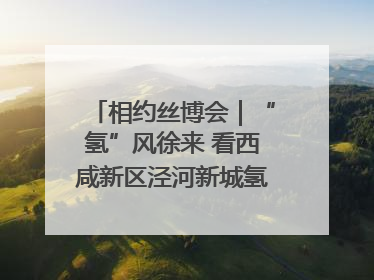 相约丝博会｜“氢”风徐来 看西咸新区泾河新城氢能产业聚链成势