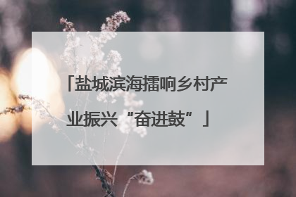 盐城滨海擂响乡村产业振兴“奋进鼓”