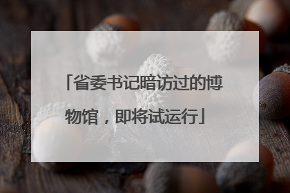 省委书记暗访过的博物馆，即将试运行
