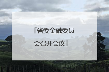 省委金融委员会召开会议