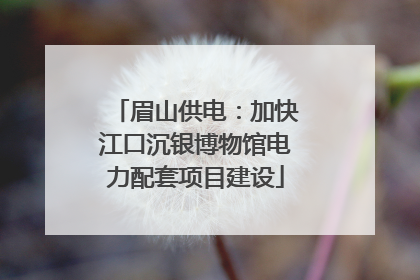 眉山供电：加快江口沉银博物馆电力配套项目建设