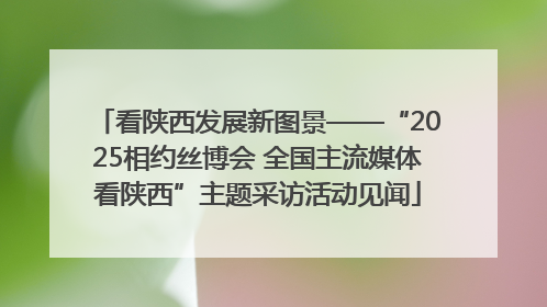 看陕西发展新图景——“2025相约丝博会 全国主流媒体看陕西”主题采访活动见闻