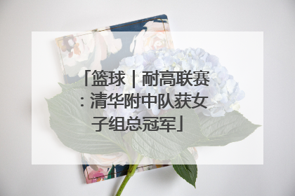 篮球｜耐高联赛：清华附中队获女子组总冠军