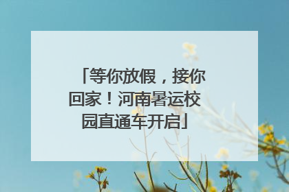 等你放假，接你回家！河南暑运校园直通车开启