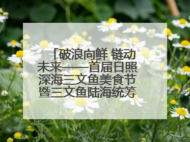破浪向鲜 链动未来——首届日照深海三文鱼美食节暨三文鱼陆海统筹全产业链发展会议嘉宾访谈
