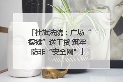 社旗法院：广场“摆摊”送干货 筑牢防非“安全网”