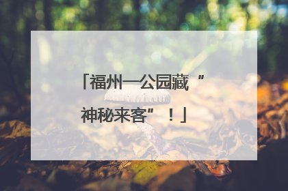 福州一公园藏“神秘来客”！