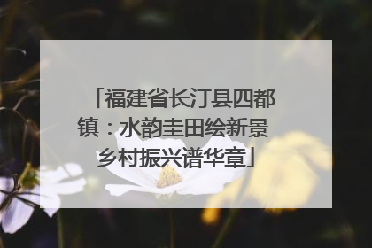 福建省长汀县四都镇：水韵圭田绘新景 乡村振兴谱华章