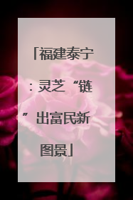 福建泰宁：灵芝“链”出富民新图景