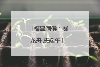 福建闽侯：赛龙舟 庆端午
